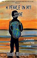 A pebble in my shoe: A paramedics recovery from PTSD 
