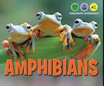 Amphibians