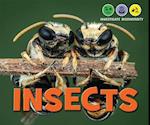 Insects