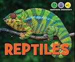 Reptiles