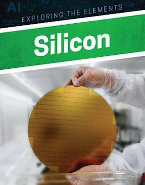 Silicon