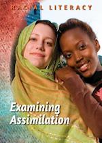 Examining Assimilation