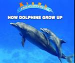 How Dolphins Grow Up