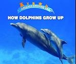 How Dolphins Grow Up