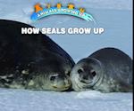 How Seals Grow Up