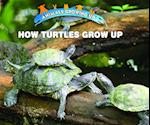 How Turtles Grow Up