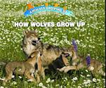 How Wolves Grow Up