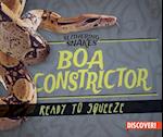 Boa Constrictor