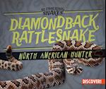 Diamondback Rattlesnake