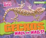 Geckos Walk on Walls!