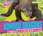 Komodo Dragons Are the Largest Lizards!