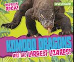 Komodo Dragons are the Largest Lizards!