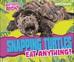 Snapping Turtles Eat Anything!