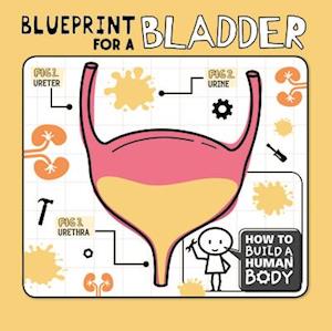 Blueprint for a Bladder