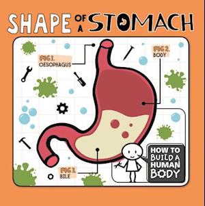 Shape of a Stomach