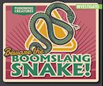 Beware the Boomslang Snake!
