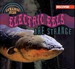 Electric Eels Are Strange