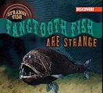 Fangtooth Fish Are Strange