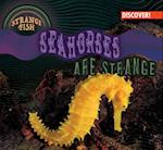 Seahorses Are Strange