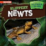 Slippery Newts