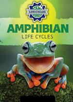 Amphibian Life Cycles