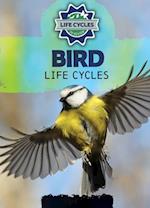 Bird Life Cycles