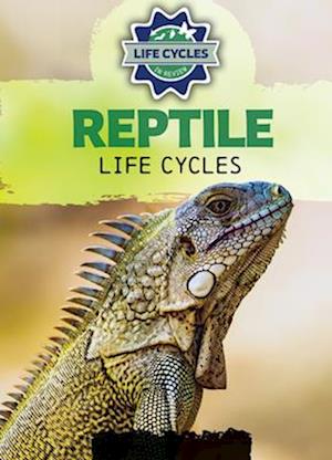 Reptile Life Cycles