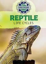 Reptile Life Cycles