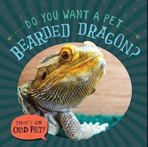 Do You Want a Pet Bearded Dragon?