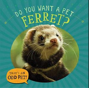 Do You Want a Pet Ferret?