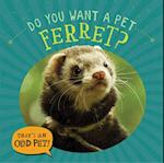 Do You Want a Pet Ferret?