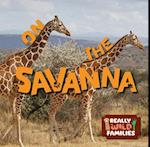 On the Savanna