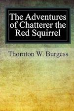 The Adventures of Chatterer the Red Squirrel