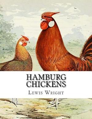 Hamburg Chickens