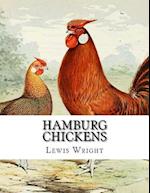 Hamburg Chickens