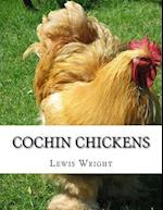 Cochin Chickens