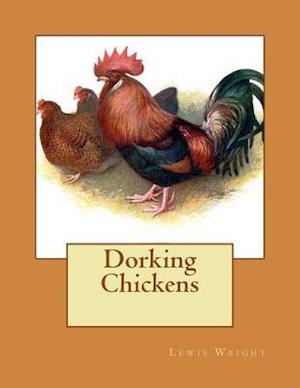Dorking Chickens