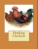 Dorking Chickens