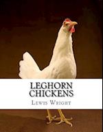 Leghorn Chickens