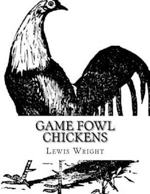 Game Fowl Chickens