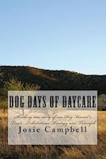 Dog Days of Daycare