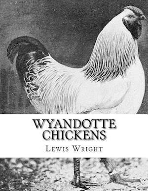 Wyandotte Chickens