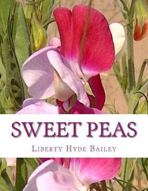 Sweet Peas