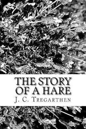 The Story of a Hare