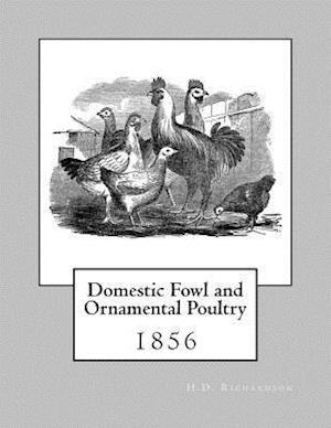 Domestic Fowl and Ornamental Poultry