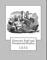 Domestic Fowl and Ornamental Poultry