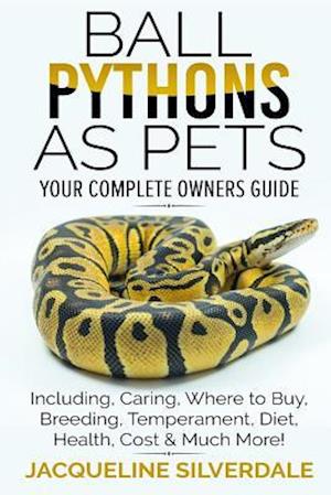 Ball Pythons as Pets - Your Complete Owners Guide