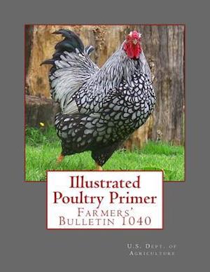 Illustrated Poultry Primer