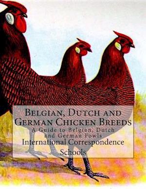 Belgian, Dutch and German Chicken Breeds