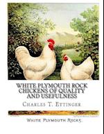 White Plymouth Rock Chickens of Quality and Usefulness